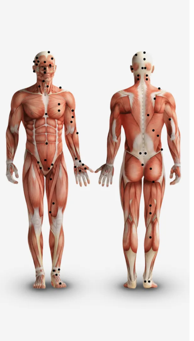 Front and back anatomical diagram indicating traditional marma points